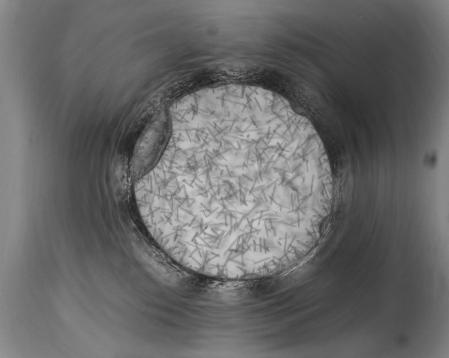 X0000114560186200911161232