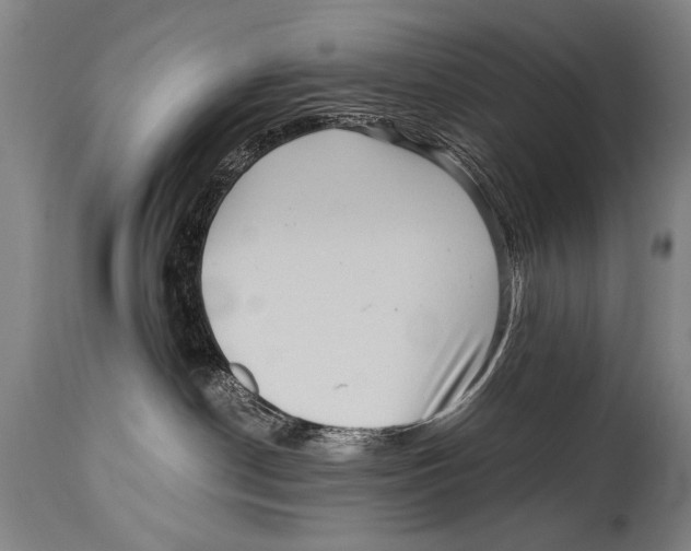 X0000114560190200911161232