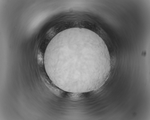 X0000114560191200911161232