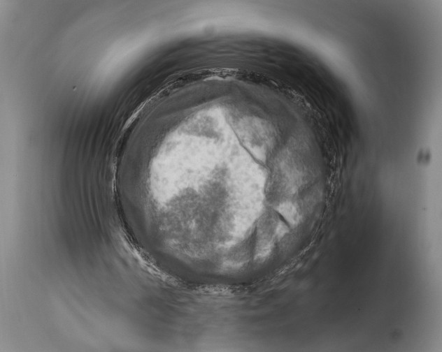 X0000114560194200911161231