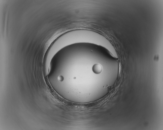 X0000114560195200911161231