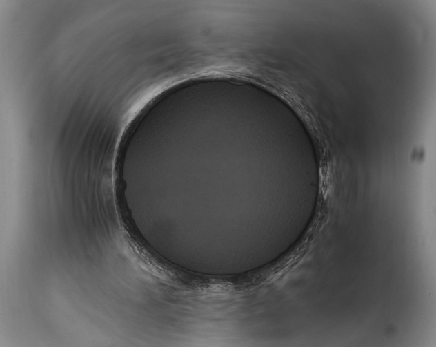 X0000114560196200911161231