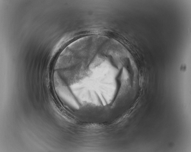 X0000114560198200911161231