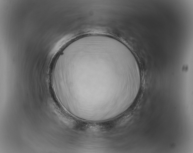 X0000114560199200911161231