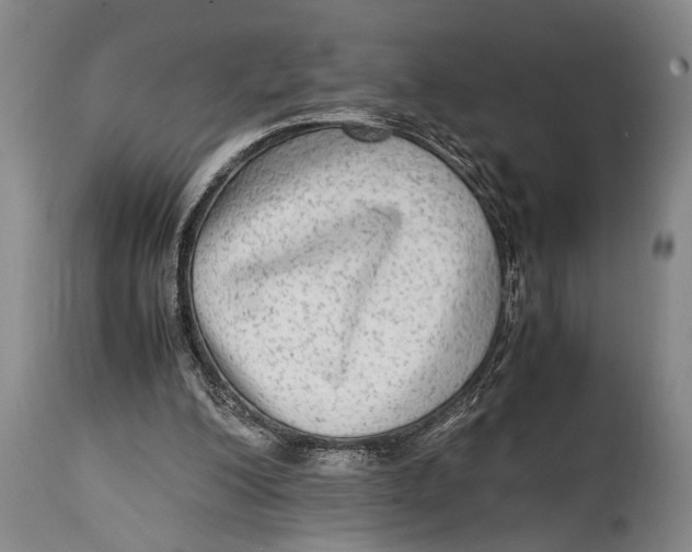 X0000114560200200911161231