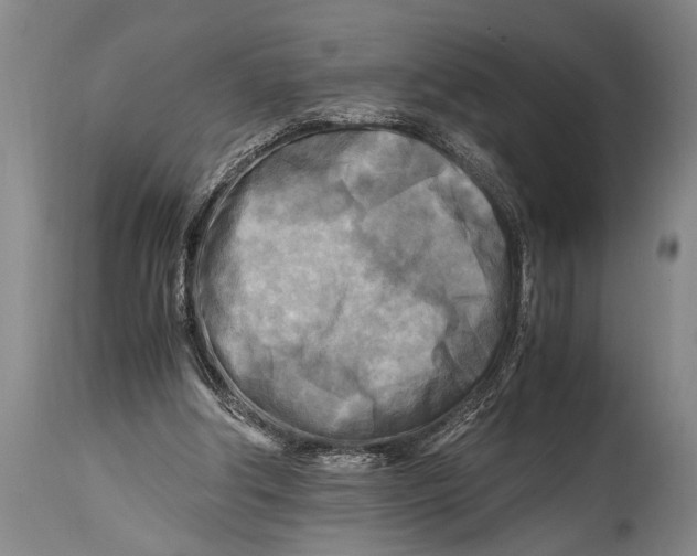 X0000114560202200911161231