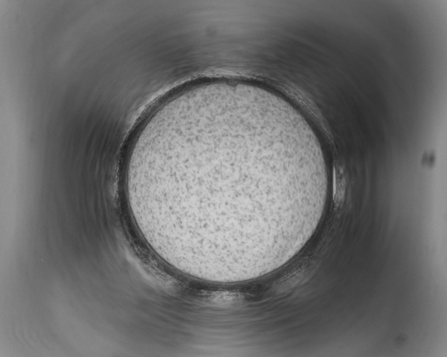 X0000114560204200911161231