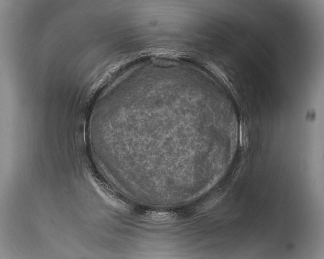 X0000114560205200911161231