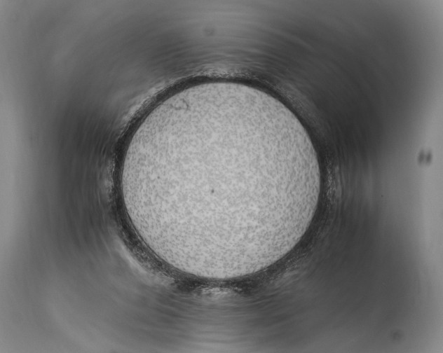 X0000114560208200911161231