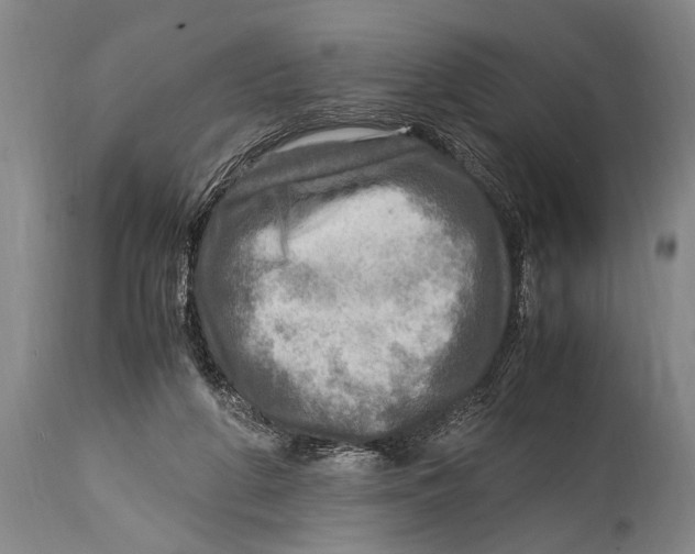 X0000114560210200911161231