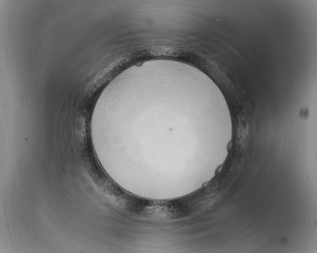 X0000114560211200911161231
