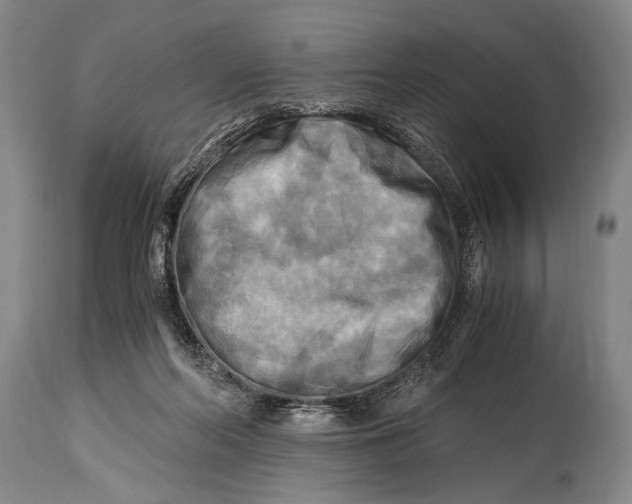 X0000114560214200911161231