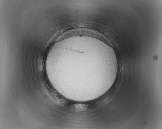 X0000114560216200911161231