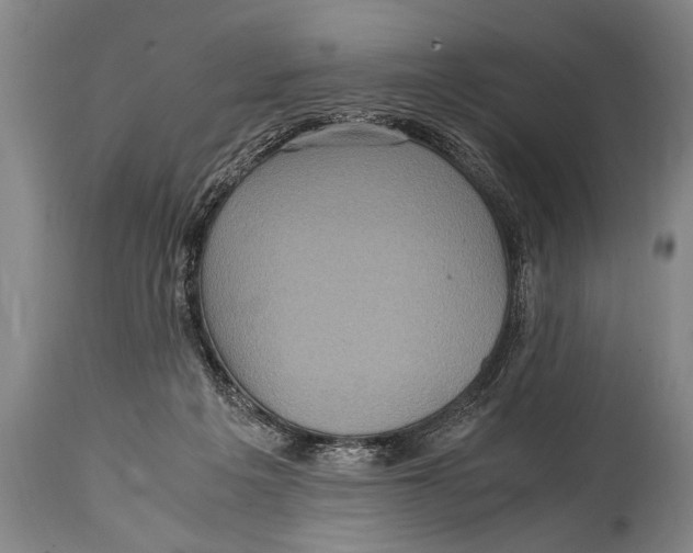 X0000114560217200911161231