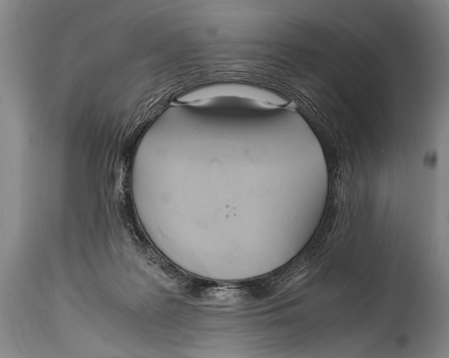 X0000114560219200911161231