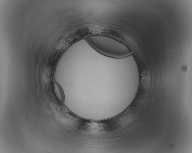 X0000114560221200911161231