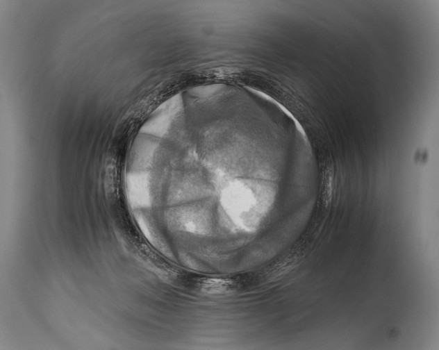 X0000114560222200911161231