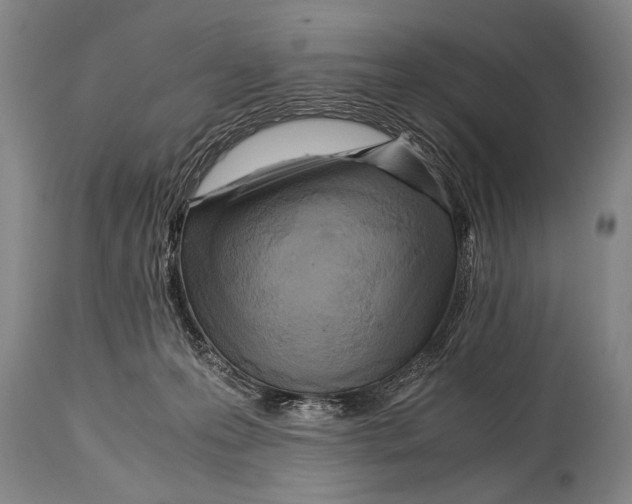 X0000114560223200911161231