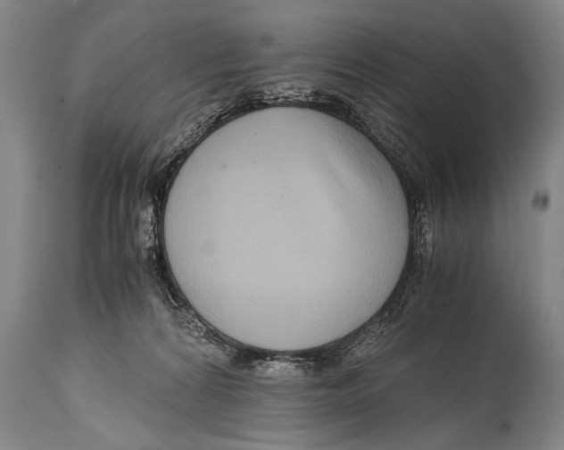 X0000114560224200911161231