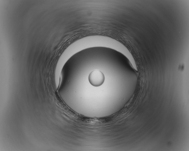 X0000114560229200911161231