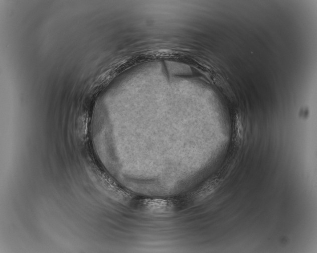 X0000114560230200911161231