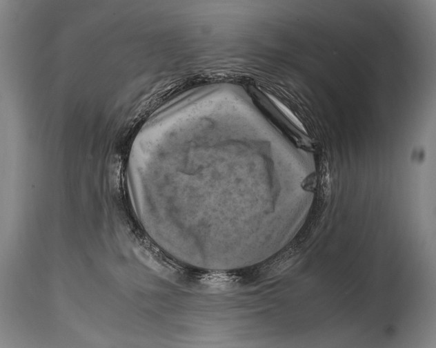 X0000114560231200911161231