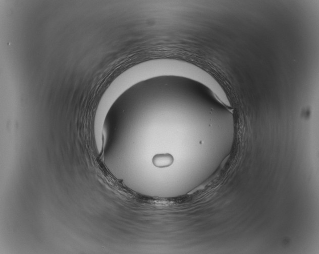 X0000114560233200911161231