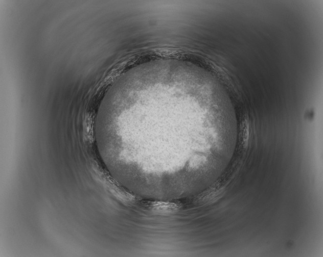 X0000114560234200911161231