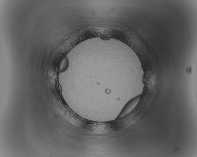 X0000114560235200911161231