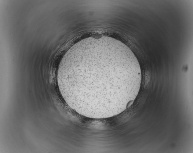 X0000114560236200911161231