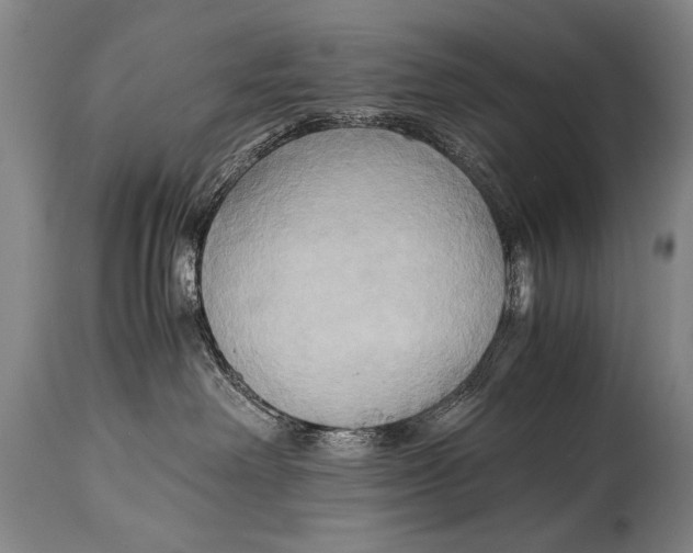 X0000114560238200911161231