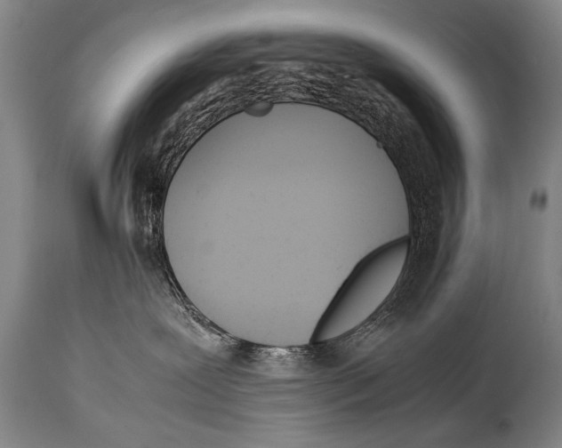 X0000114560239200911161231