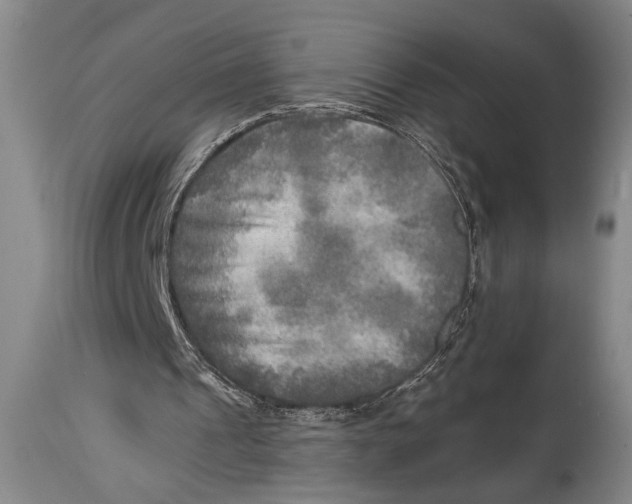 X0000114560241200911161230