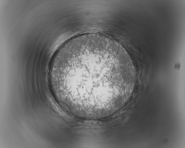 X0000114560242200911161230
