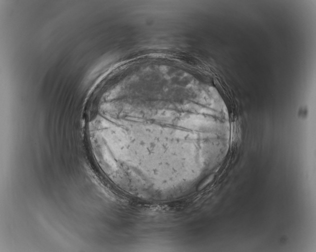 X0000114560243200911161230