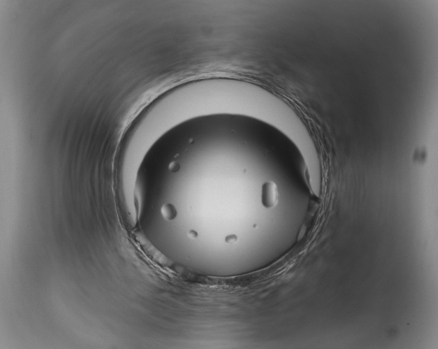 X0000114560244200911161230