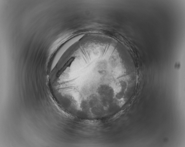 X0000114560245200911161230