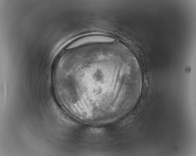 X0000114560247200911161230