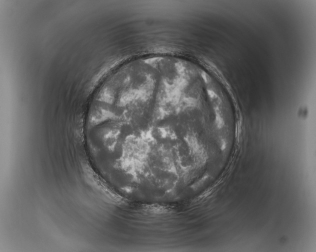 X0000114560249200911161230