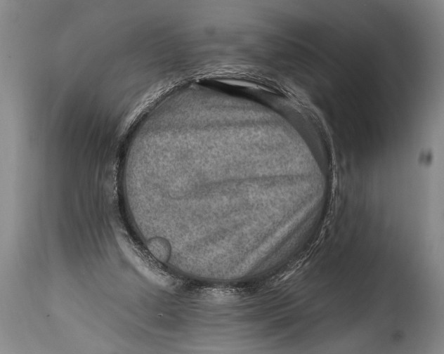 X0000114560250200911161230