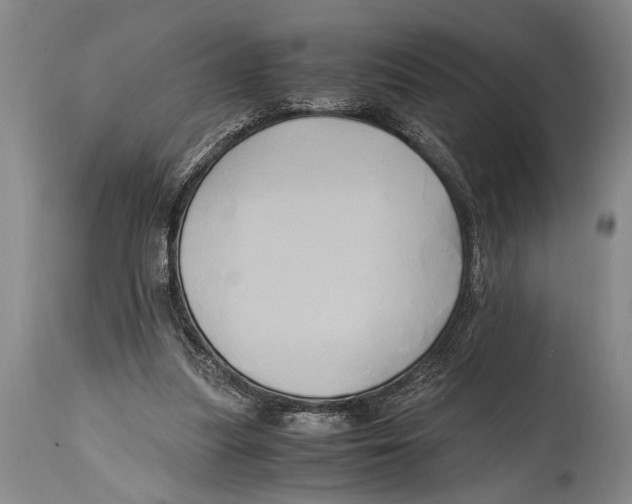 X0000114560251200911161230