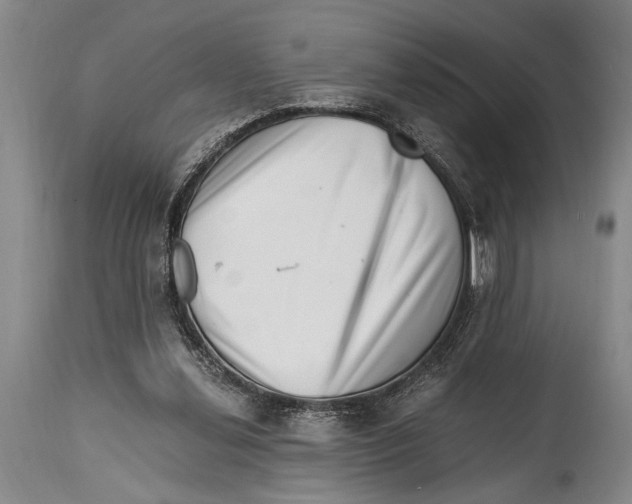X0000114560252200911161230