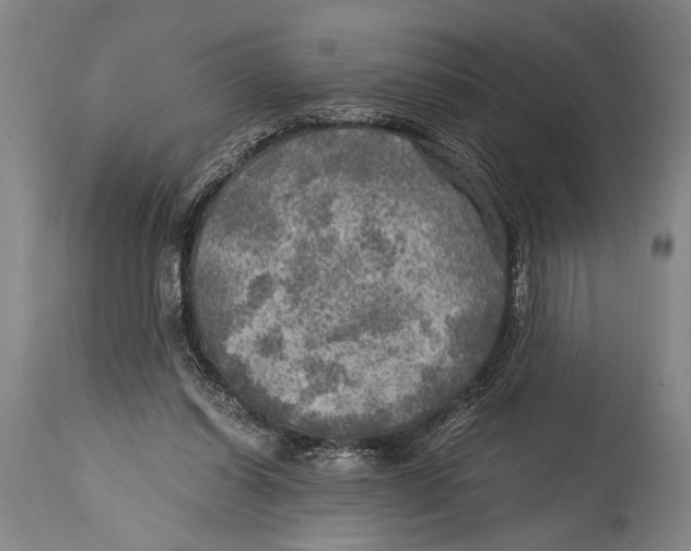X0000114560254200911161230
