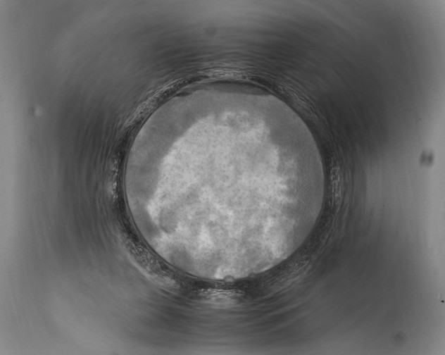 X0000114560255200911161230