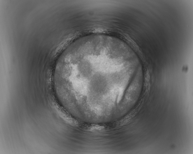 X0000114560257200911161230