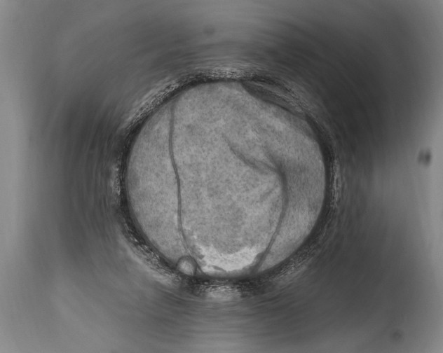 X0000114560258200911161230