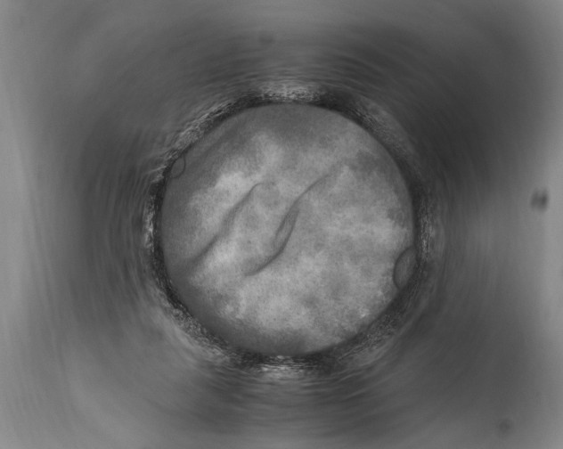 X0000114560259200911161230