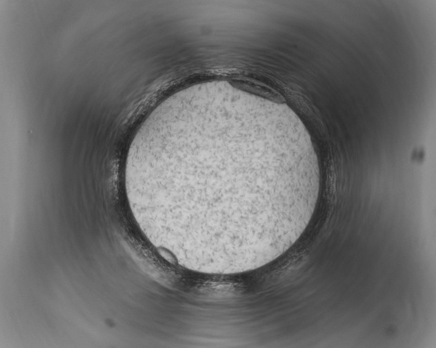X0000114560260200911161230