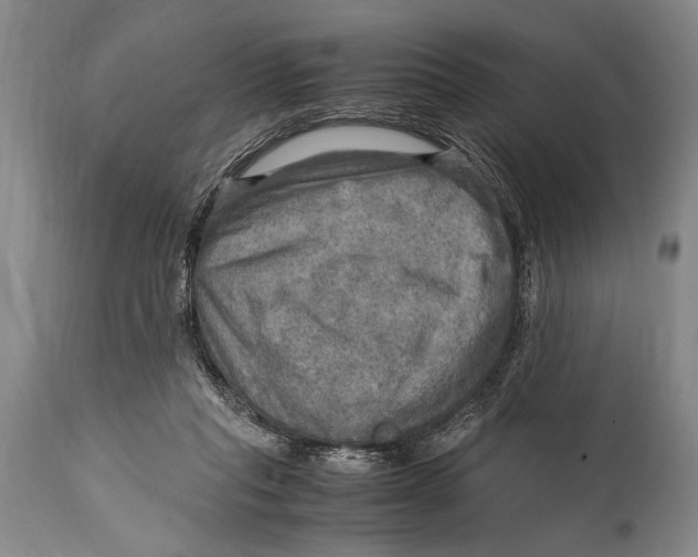 X0000114560261200911161230