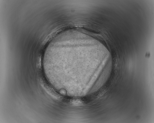 X0000114560262200911161230